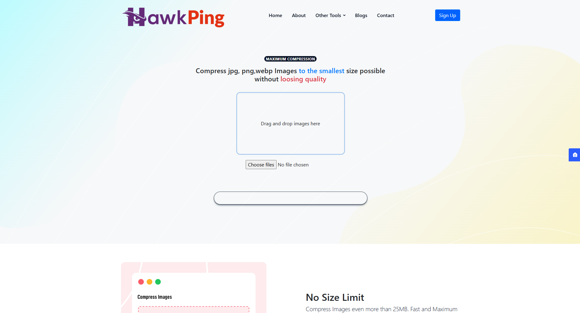 HawkPing